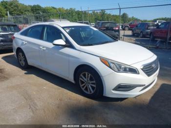  Salvage Hyundai SONATA