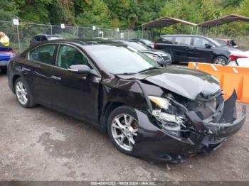  Salvage Nissan Maxima