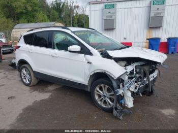  Salvage Ford Escape