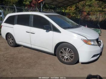  Salvage Honda Odyssey