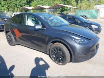  Salvage Tesla Model Y