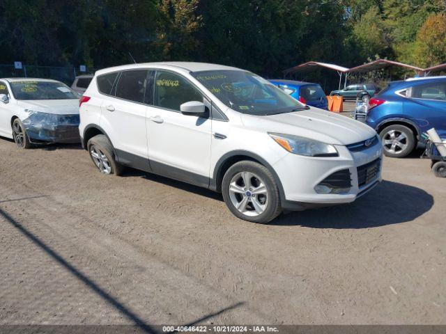  Salvage Ford Escape