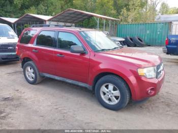  Salvage Ford Escape