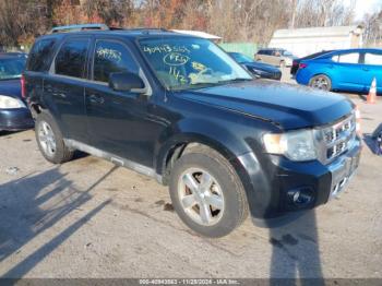  Salvage Ford Escape