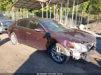  Salvage Nissan Maxima