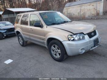  Salvage Ford Escape