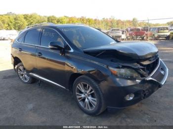  Salvage Lexus RX