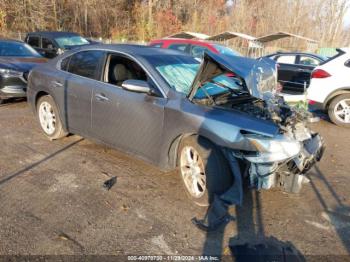  Salvage Nissan Maxima