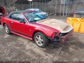  Salvage Ford Mustang