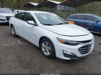  Salvage Chevrolet Malibu