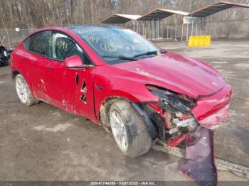  Salvage Tesla Model Y