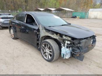  Salvage Nissan Maxima