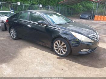  Salvage Hyundai SONATA