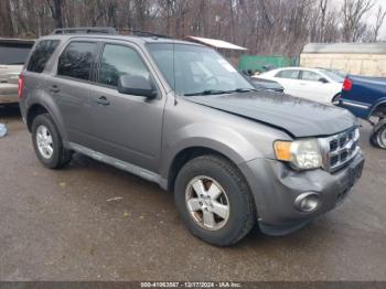  Salvage Ford Escape