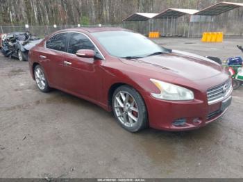  Salvage Nissan Maxima
