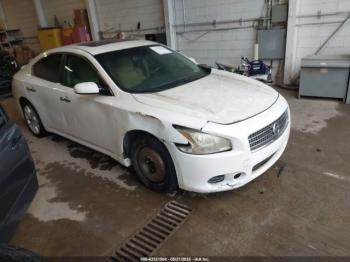  Salvage Nissan Maxima
