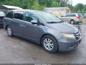  Salvage Honda Odyssey