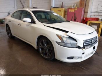  Salvage Nissan Maxima