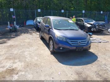  Salvage Honda CR-V