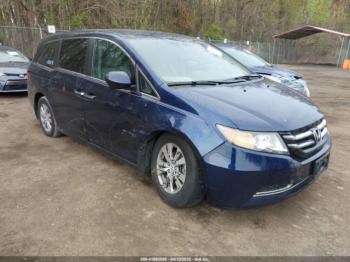  Salvage Honda Odyssey