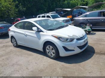  Salvage Hyundai ELANTRA