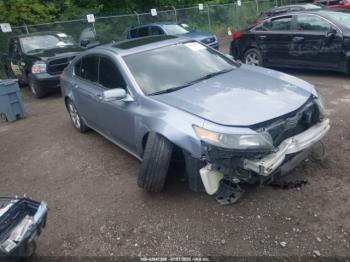  Salvage Acura TL