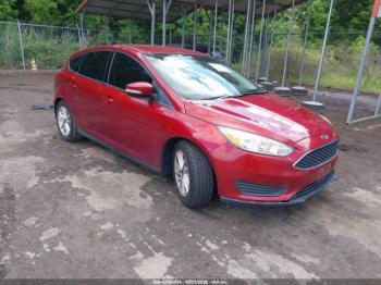  Salvage Ford Focus