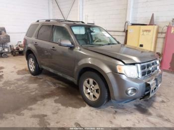  Salvage Ford Escape