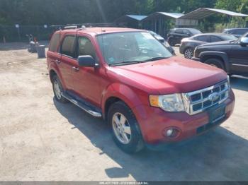  Salvage Ford Escape