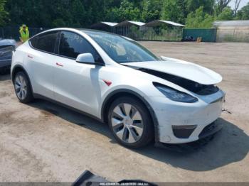  Salvage Tesla Model Y