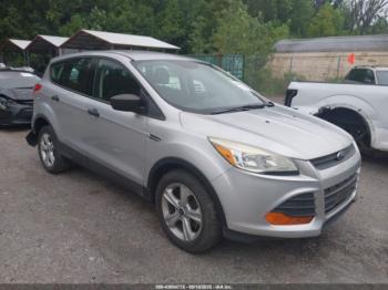  Salvage Ford Escape