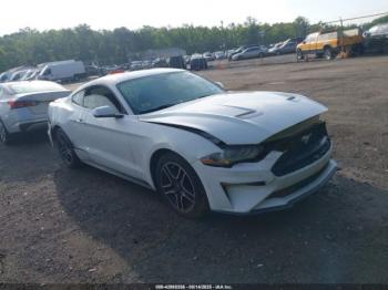  Salvage Ford Mustang