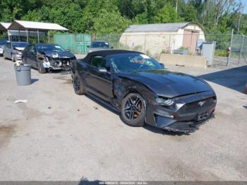  Salvage Ford Mustang