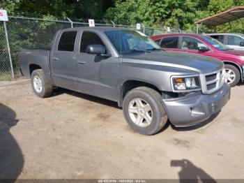  Salvage Dodge Dakota