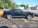 Ford Mustang Image 11