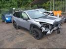 Subaru Forester Wilderness Image 1