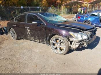  Salvage Nissan Maxima