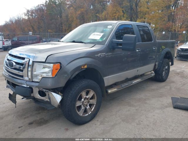 Ford F-150 Image 3
