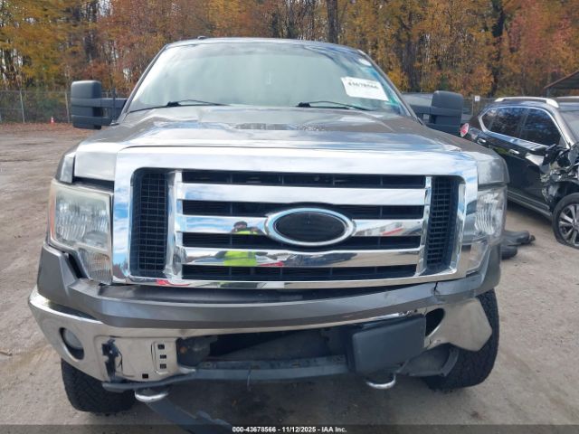 Ford F-150 Image 10