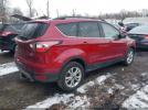 Ford Escape Sel Image 3