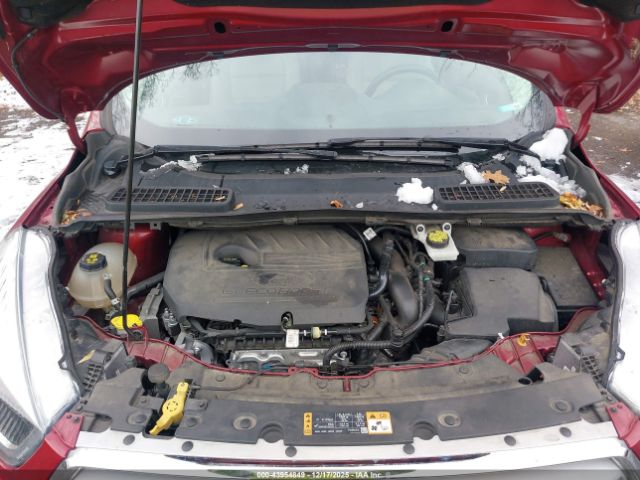 Ford Escape Sel Image 9