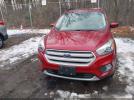 Ford Escape Sel Image 10