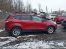 Ford Escape Sel Image 15