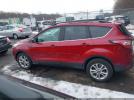 Ford Escape Sel Image 12