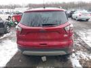 Ford Escape Sel Image 13