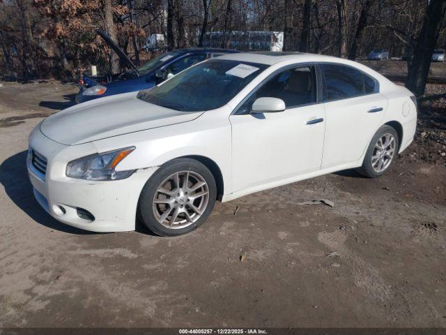 Nissan Maxima Image 9