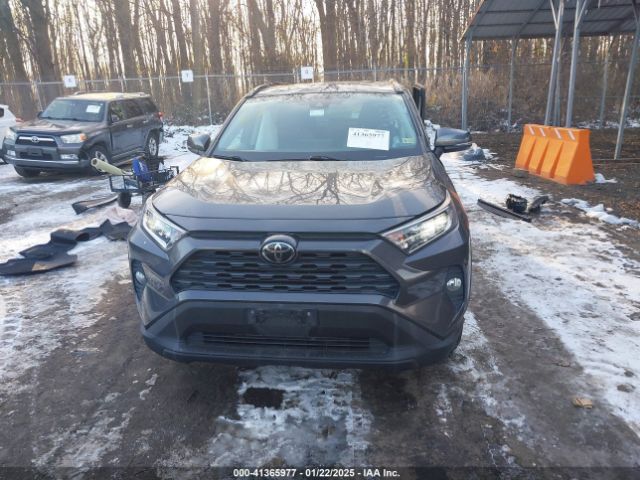 Toyota RAV4 Xle Image 7