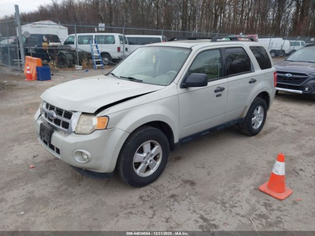 Ford Escape Xlt Image 11
