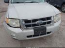 Ford Escape Xlt Image 5