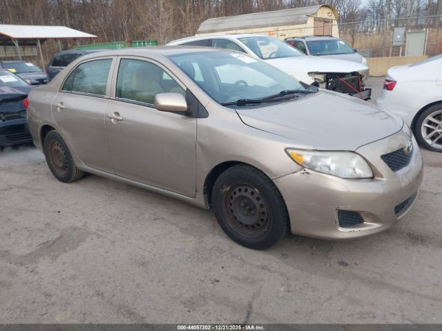 Toyota Corolla Le Image 1